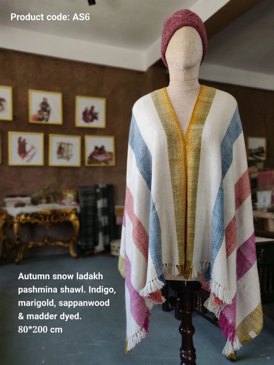 Pashmina Shawl 10
