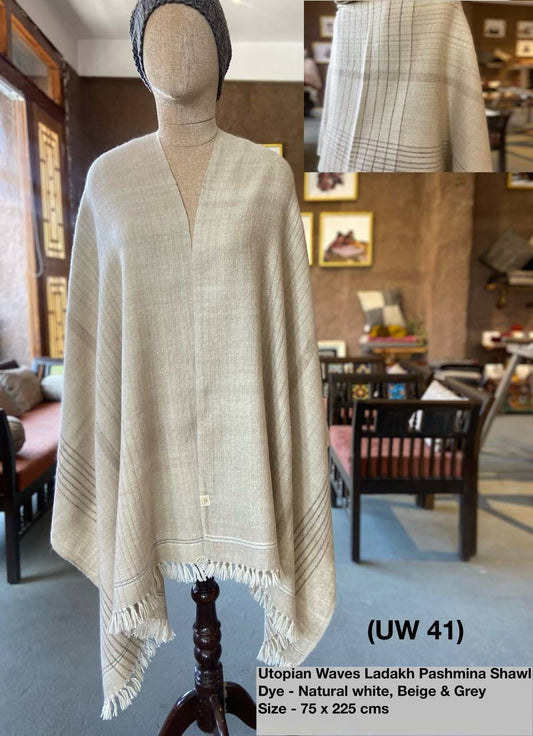 Pashmina Shawl 8